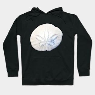 Sand Dollar Photo Hoodie